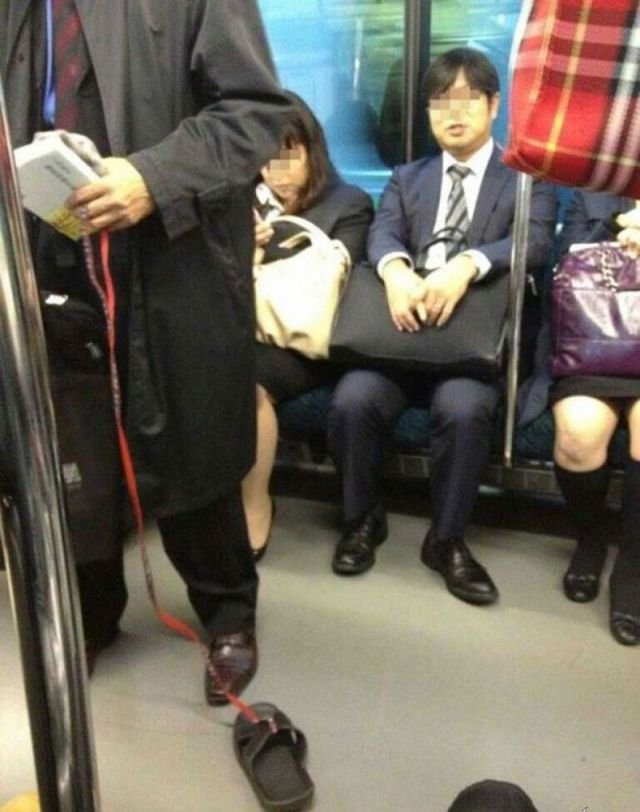 странные люди. странные поступки. человеческая глупость