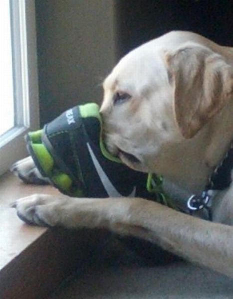 картинки,юмор,смешное,прикол