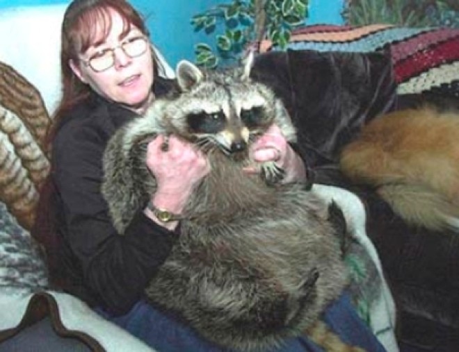 Самые гигантские домашние животные в мире Самые, гигантские, домашние животные, в мире,гиганты,питомцы