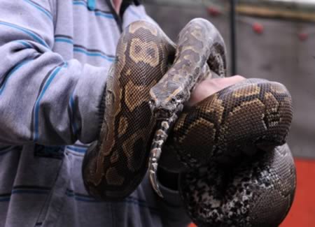 Истории самых ужасных последствий сильной пьянки Истории,последствия,алкоголь,пьянка