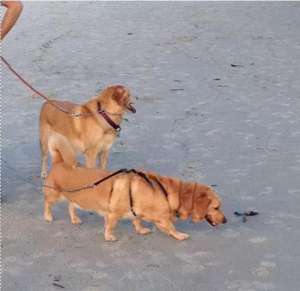 Смешные неудачные панорамные снимки Смешные панорамные снимки, неудачные панорамные снимки, панорамные снимки