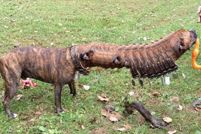 Смешные неудачные панорамные снимки Смешные панорамные снимки, неудачные панорамные снимки, панорамные снимки