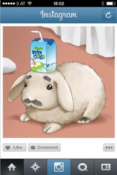 12 самых популярных видов фотографий в Instagram 12, самые популярные, виды фотографий, Instagram