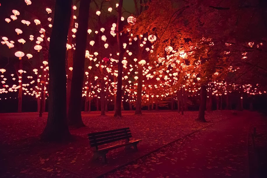 инсталляции,свет,фестиваль огней,франция, «Lyon Festival of Lights 2013»