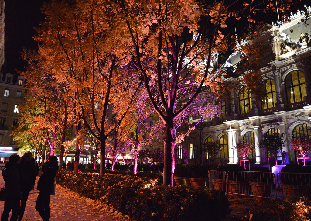 инсталляции,свет,фестиваль огней,франция, «Lyon Festival of Lights 2013»