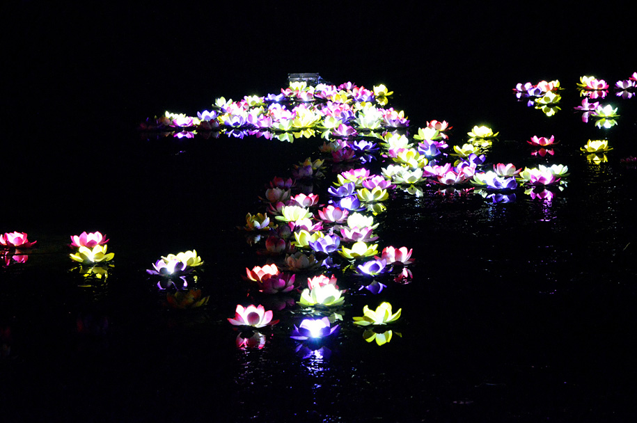 инсталляции,свет,фестиваль огней,франция, «Lyon Festival of Lights 2013»