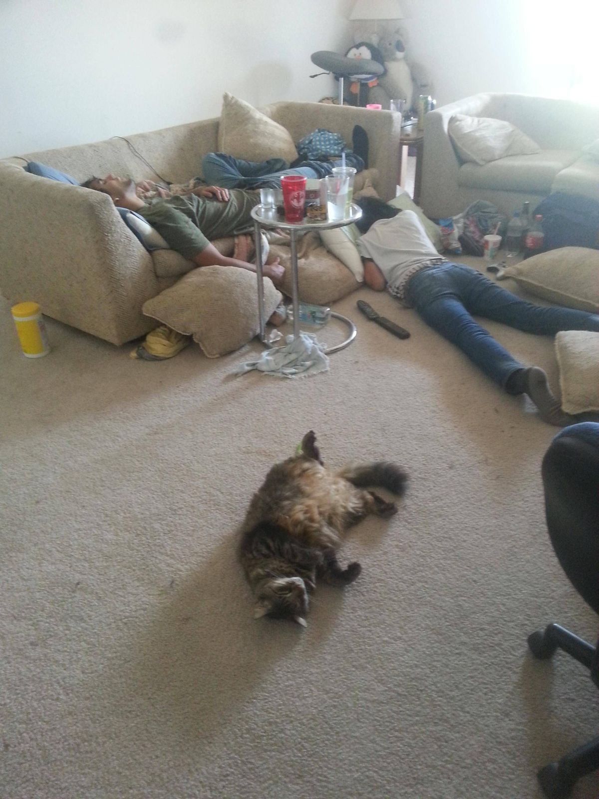 Смешные, ситуации, с пьяными людьми