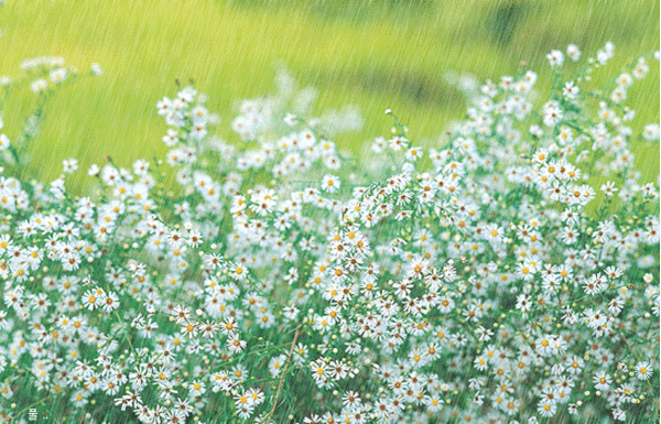 природа, анимация, гифки, gif