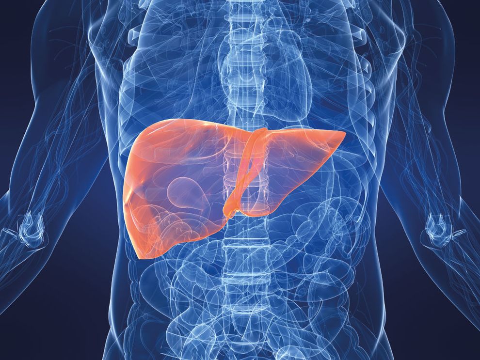 необычные лоты  eBay