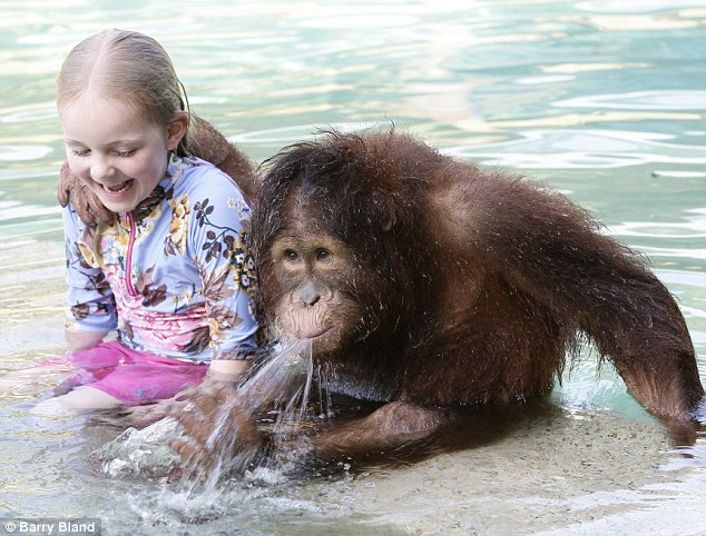 Эмили Бланд, Emily Bland, друг, орангутанг, Риши