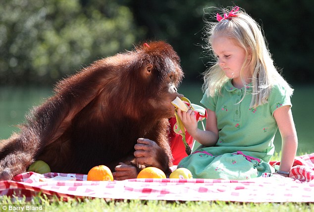 Эмили Бланд, Emily Bland, друг, орангутанг, Риши