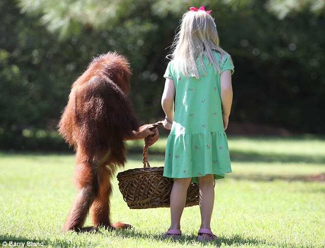 Эмили Бланд, Emily Bland, друг, орангутанг, Риши