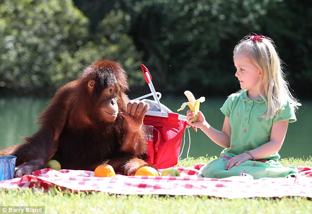 Эмили Бланд, Emily Bland, друг, орангутанг, Риши