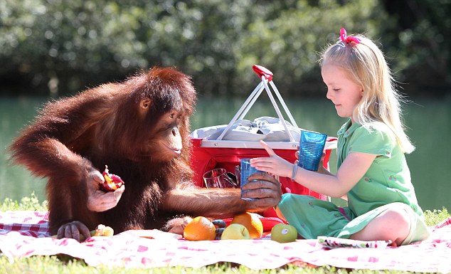 Эмили Бланд, Emily Bland, друг, орангутанг, Риши