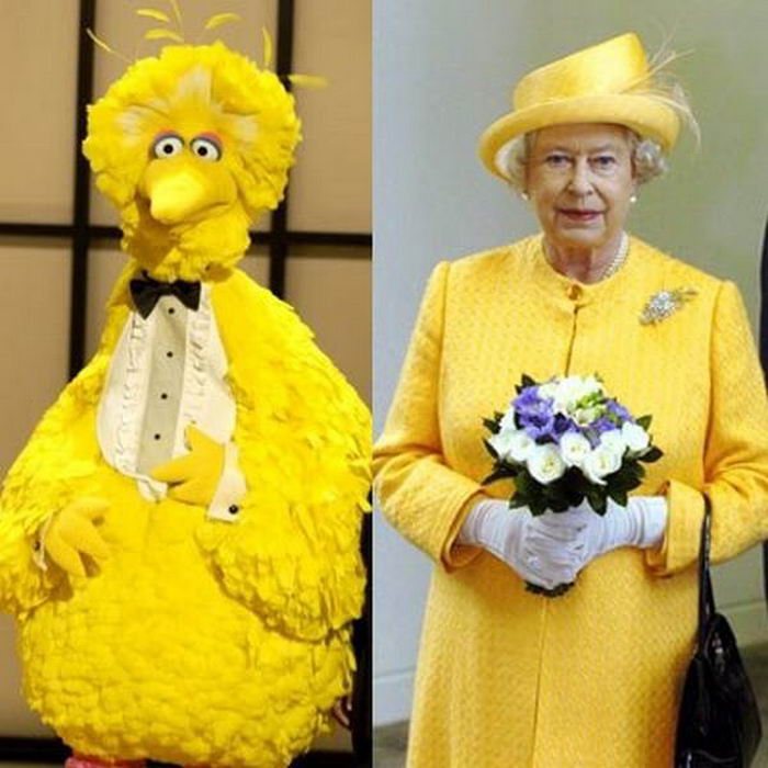 смешные сходства, двойники звёзд 