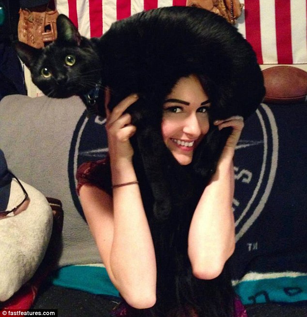 кот на голове, шапка из кота, прикол с котами