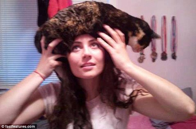 кот на голове, шапка из кота, прикол с котами