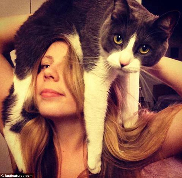 кот на голове, шапка из кота, прикол с котами