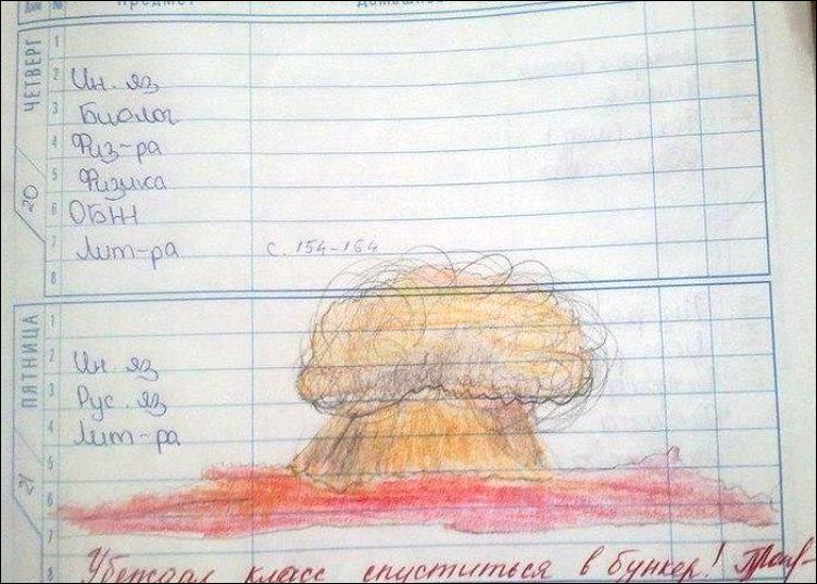 смешные замечания в дневниках, школа, прикол 