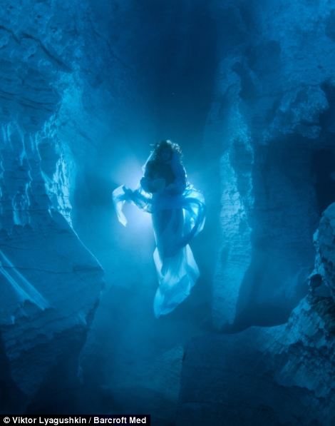 Конкурс на самую лучшую подводную фотографию 2013 Фотографии, конкурс, лучшие подводные, снимки, 2013, акулы, животные, дайверы