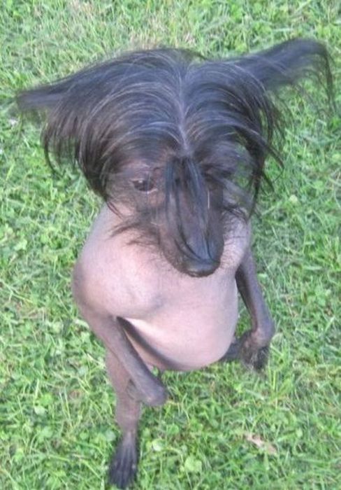 страшные фотографии, пугающие снимки, странные фото 