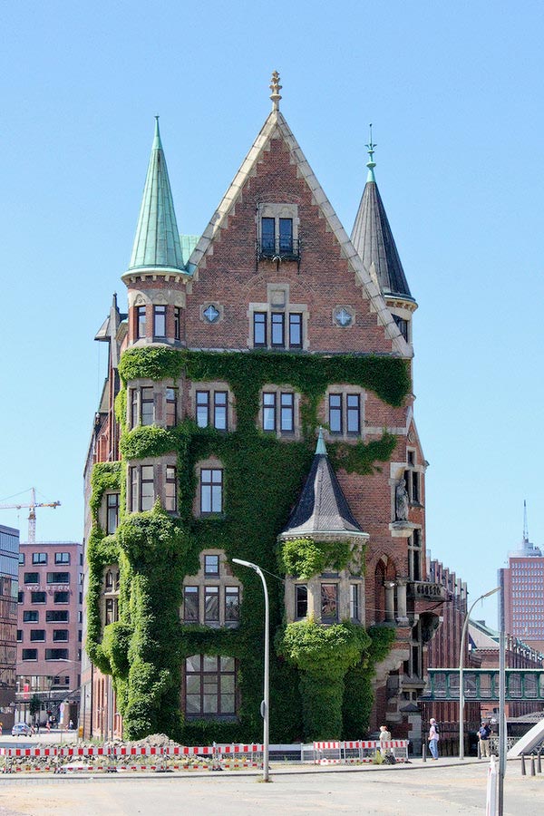 дома захваченные растениями, дома поросшие растениями