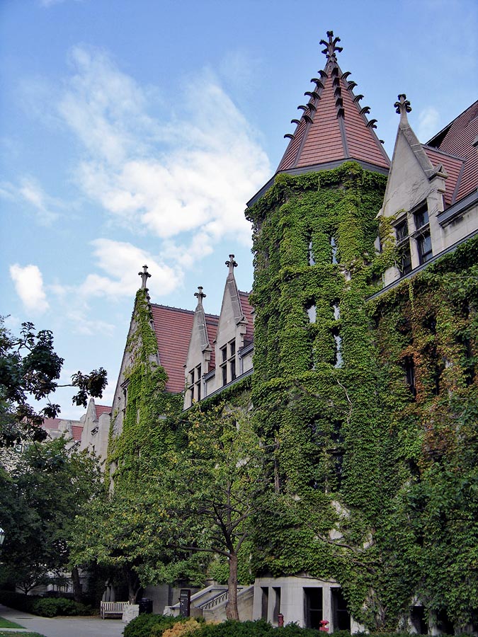 дома захваченные растениями, дома поросшие растениями