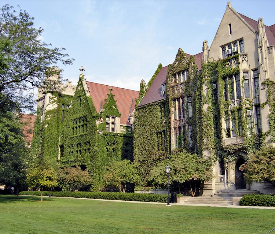 дома захваченные растениями, дома поросшие растениями