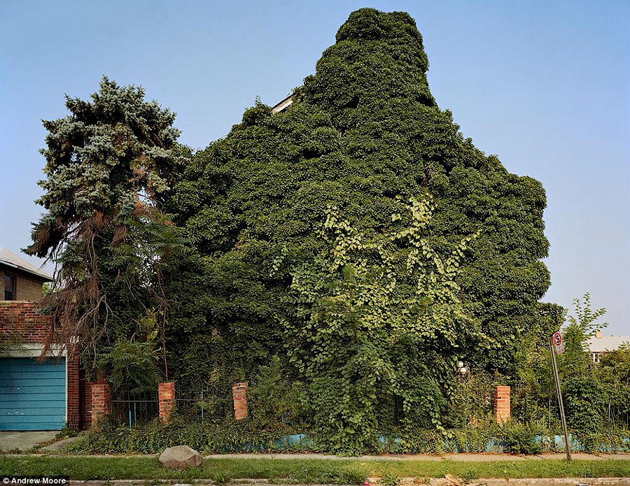 дома захваченные растениями, дома поросшие растениями