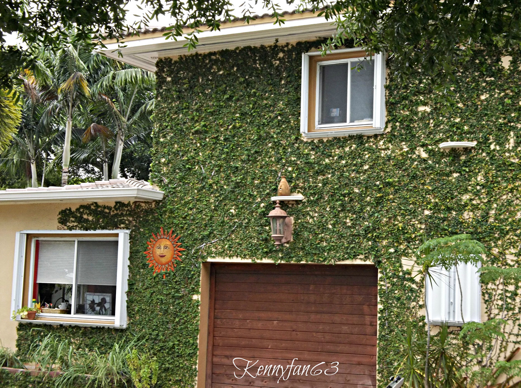 дома захваченные растениями, дома поросшие растениями