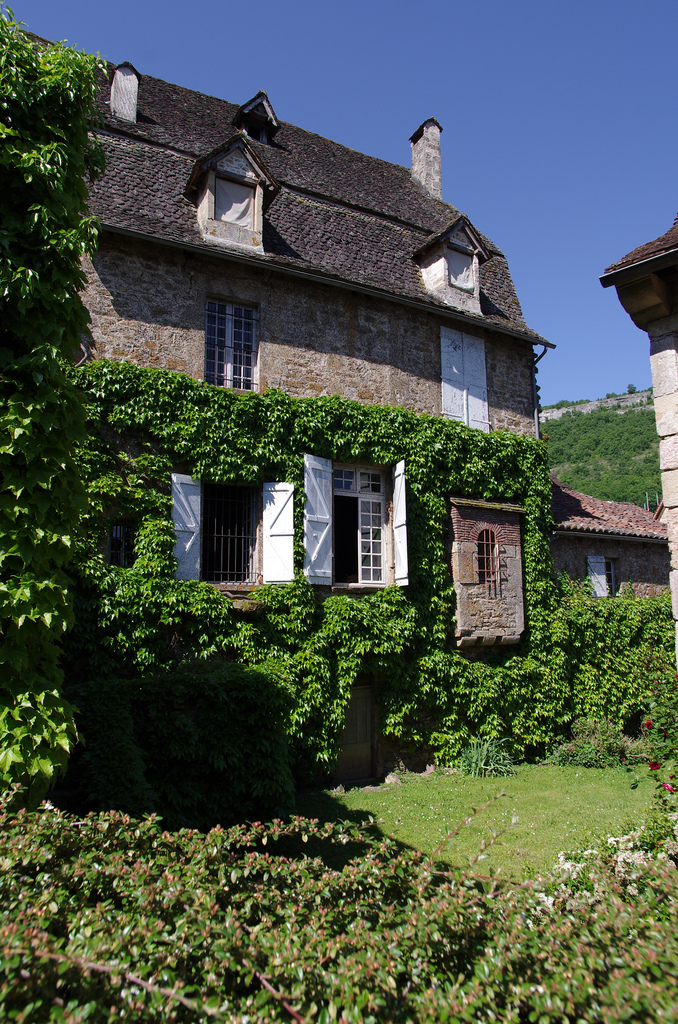 дома захваченные растениями, дома поросшие растениями