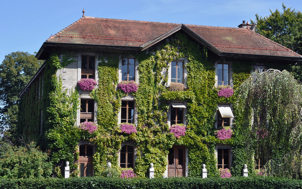 дома захваченные растениями, дома поросшие растениями