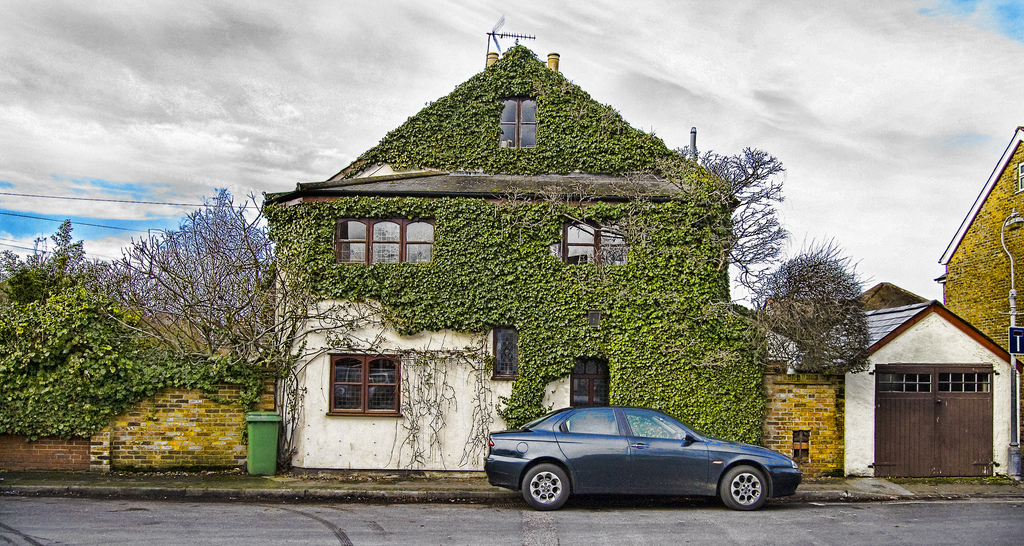 дома захваченные растениями, дома поросшие растениями