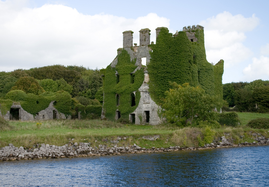 дома захваченные растениями, дома поросшие растениями