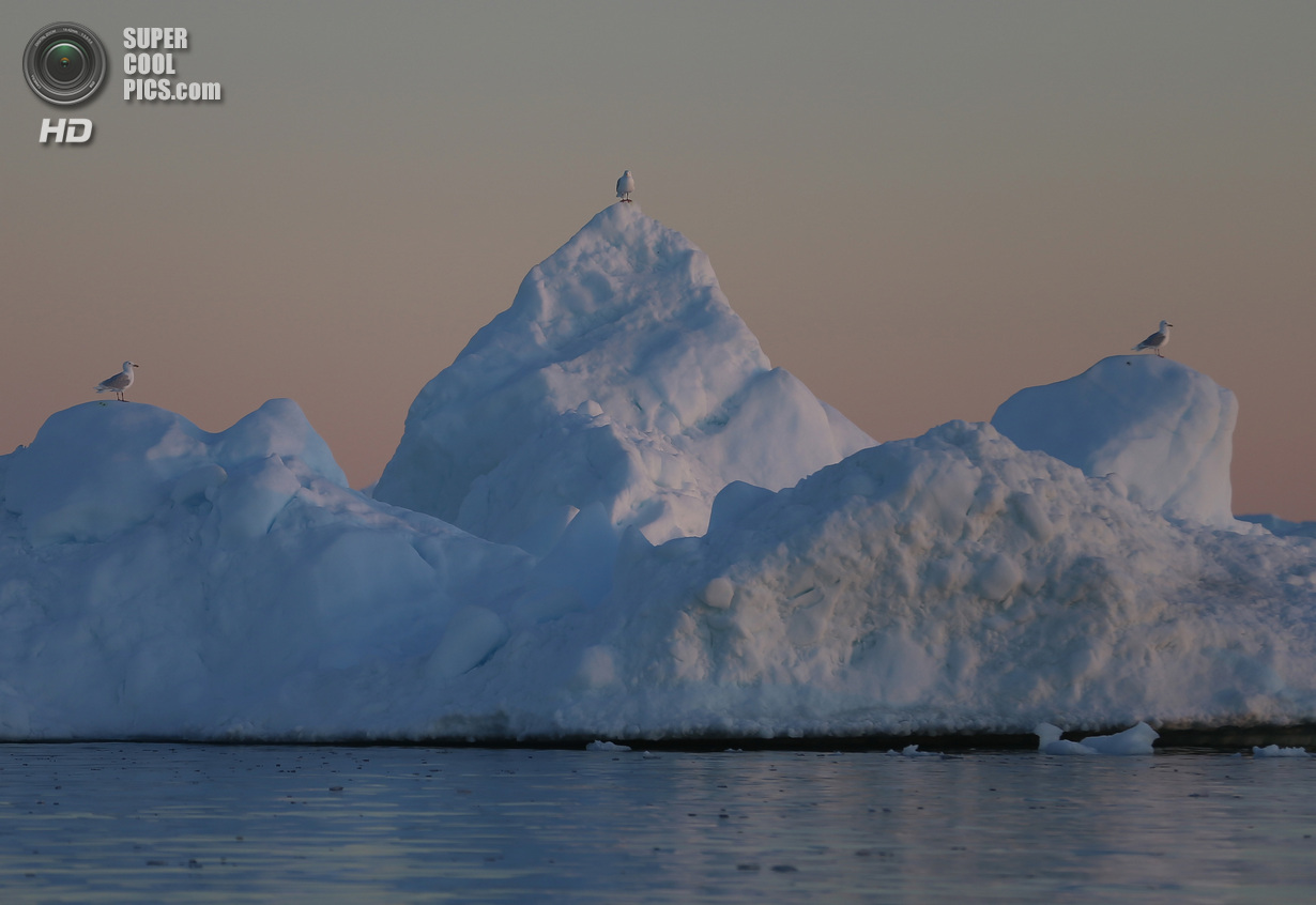 Пейзажи Гренландии, лето,летний период,фотограф, Джо Рейдл, Joe Raedle