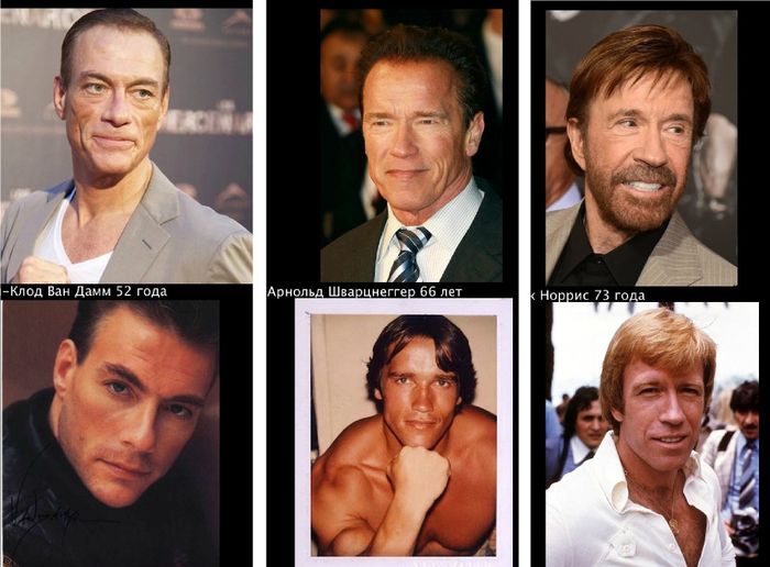 Как изменились, актеры, Голливуда, Норрис, Ван Дамм, Ривз, Сигал, Джеки Чан, Шварценеггер