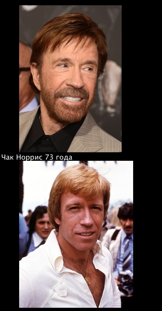 Как изменились, актеры, Голливуда, Норрис, Ван Дамм, Ривз, Сигал, Джеки Чан, Шварценеггер