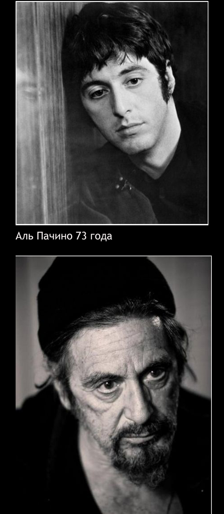 Как изменились, актеры, Голливуда, Норрис, Ван Дамм, Ривз, Сигал, Джеки Чан, Шварценеггер