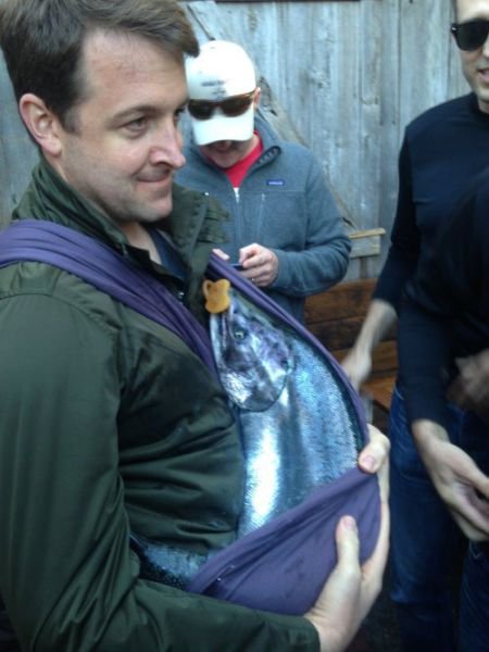 бессмысленные фотографии, странности,люди,животные