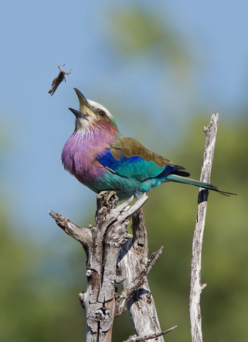 кадр, нужный момент,люди