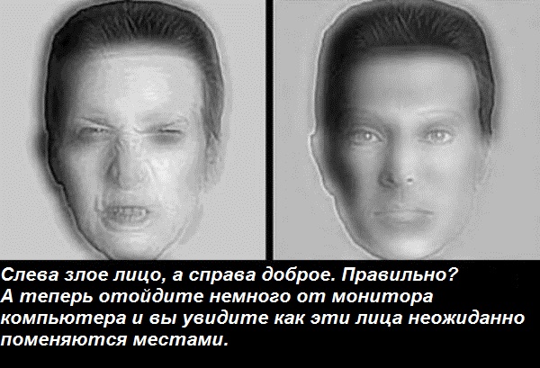 Удивительные, вещи, со всего света, анимация, наука, физика