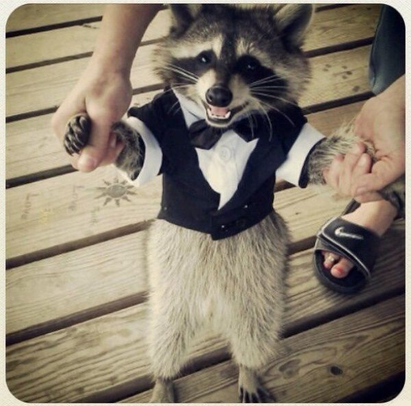 Истории, добрые поступки, добро,трогательно