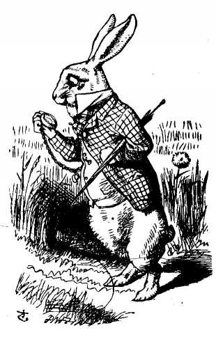 Правила жизни Алисы, в Cтраны чудес, зазеркалье, исатель, книга, Льюис Кэрролл