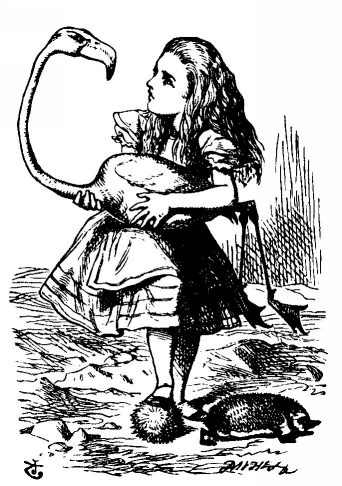 Правила жизни Алисы, в Cтраны чудес, зазеркалье, исатель, книга, Льюис Кэрролл