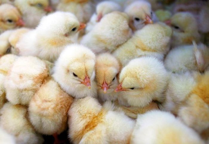 Неприятные факты, о которых лучше не знать