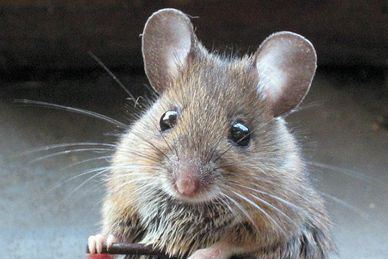 Неприятные факты, о которых лучше не знать