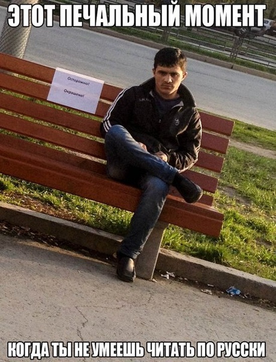 Позитив, юмор, смешные фотографии,прикол