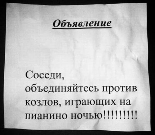 Позитив, юмор, смешные фотографии,прикол