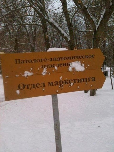 Позитив, юмор, смешные фотографии,прикол