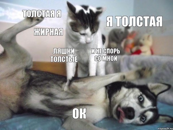 Позитив, юмор, смешные фотографии,прикол